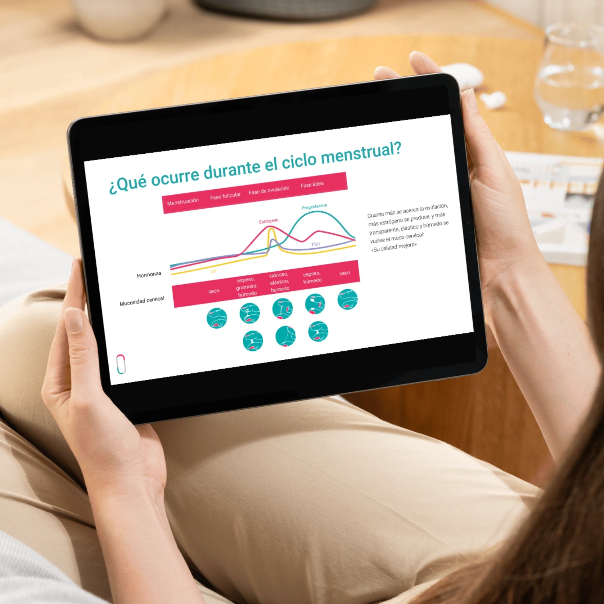 Ein Tablet zeigt eine Infografik zum weiblichen Zyklus mit dem Titel 'Was passiert im weiblichen Zyklus?'. Zu sehen ist ein Diagramm der Hormone Östrogen, Progesteron, LH und FSH sowie die Veränderung des Zervixschleims in den verschiedenen Phasen (Menstruation, Follikelphase, Eisprung, Lutealphase).