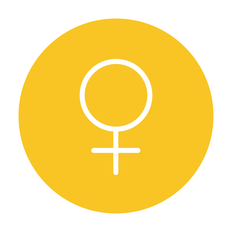 Icon: Von einer Frau entwickelt