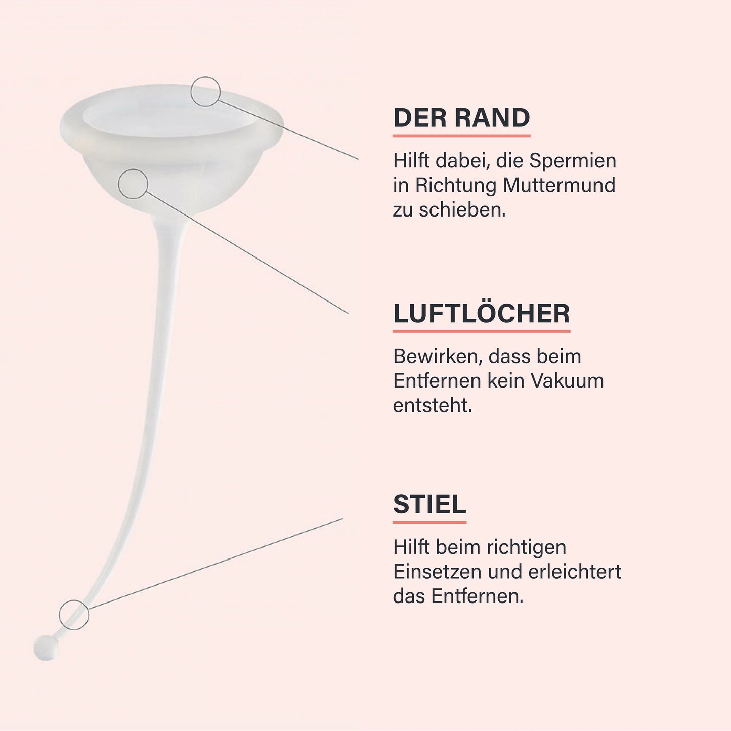 Technische Detailansicht der FERTI-LILY Empfängnishilfe auf rosa Hintergrund. Drei Markierungen erklären den Aufbau: 1. Der Rand (hilft, Spermien Richtung Muttermund zu schieben), 2. Luftlöcher (verhindern ein Vakuum beim Entfernen) und 3. Der Stiel (hilft beim richtigen Einsetzen und erleichtert das Entfernen). Eine klare schematische Darstellung der Produktmerkmale.