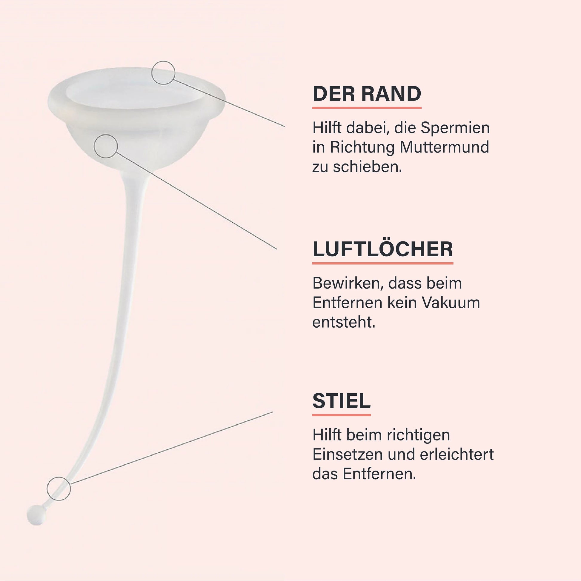 Technische Detailansicht der FERTI-LILY Empfängnishilfe auf rosa Hintergrund. Drei Markierungen erklären den Aufbau: 1. Der Rand (hilft, Spermien Richtung Muttermund zu schieben), 2. Luftlöcher (verhindern ein Vakuum beim Entfernen) und 3. Der Stiel (hilft beim richtigen Einsetzen und erleichtert das Entfernen). Eine klare schematische Darstellung der Produktmerkmale.