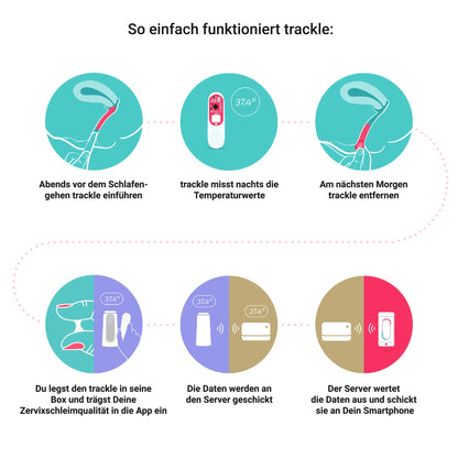Infografik 'So einfach funktioniert trackle' in sechs Schritten: 1. Abends einführen, 2. Nächtliche Temperaturmessung, 3. Morgens entfernen, 4. In die Box legen & Zervixschleim in die App eintragen, 5. Datenübertragung an den Server, 6. Auswertung und Anzeige des Fruchtbarkeitsstatus auf dem Smartphone.